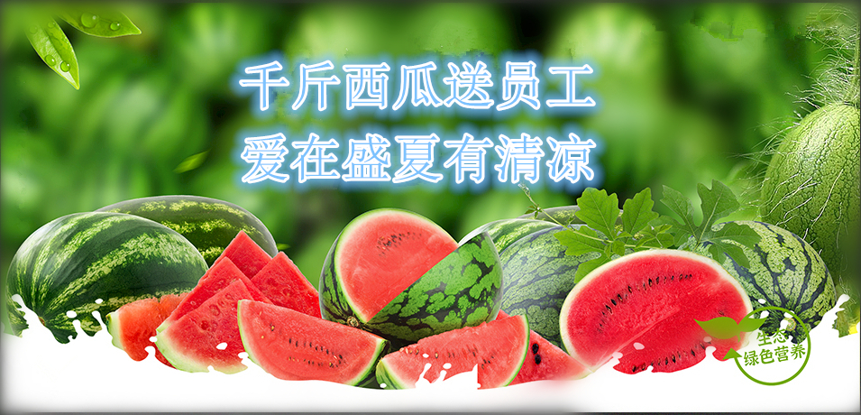 通達(dá)軟件公司： 千斤西瓜送員工，愛(ài)在盛夏有清涼
